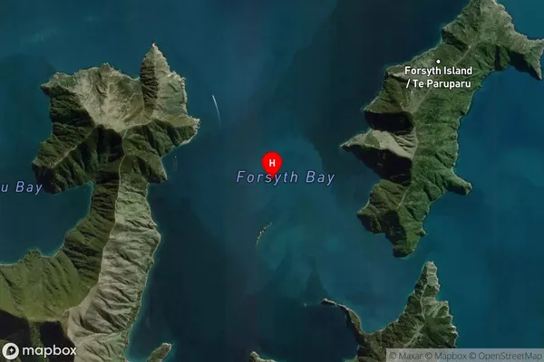 Forsyth Bay,Marlborough Satellite Map