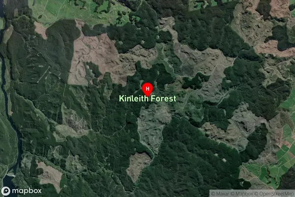 Kinleith Forest,Waikato Satellite Map