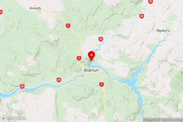 Lake Atiamuri,Waikato Region Map