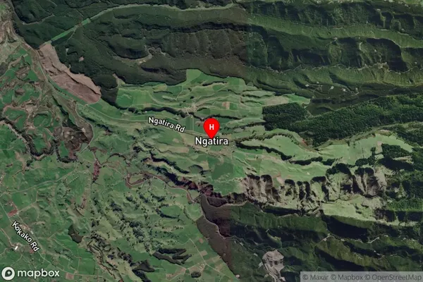 Ngatira,Waikato Satellite Map