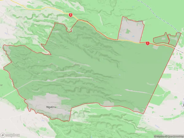 Ngatira, Waikato Polygon Area Map