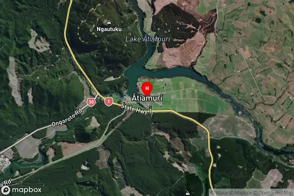 Atiamuri,Waikato Satellite Map