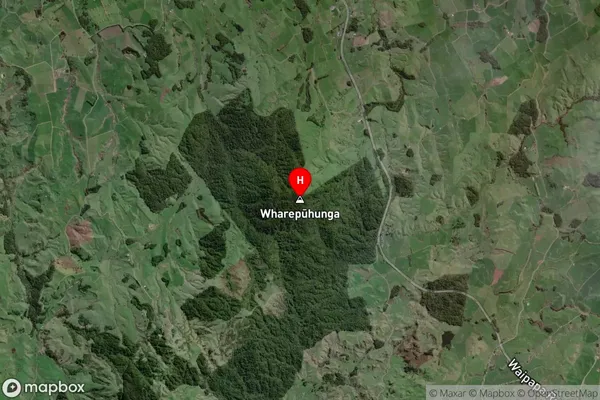 Wharepuhunga,Waikato Satellite Map