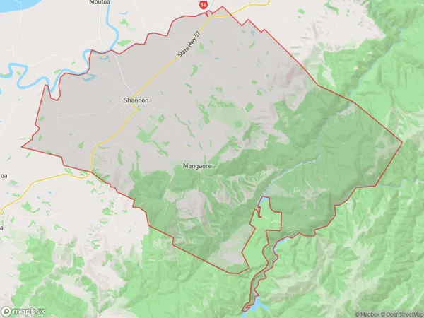 Shannon, Manawatu-Wanganui Polygon Area Map