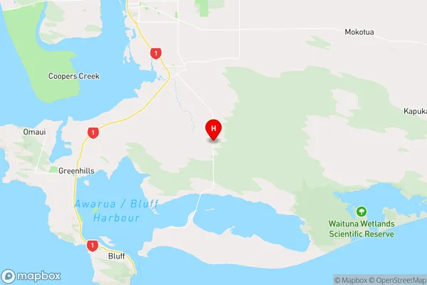 Awarua Plains,Southland Region Map