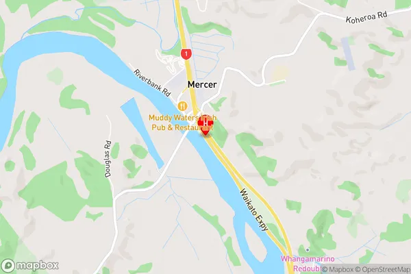 Mercer,Waikato Area Map