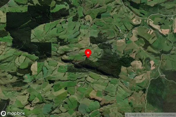 Purakaunui,Otago Satellite Map