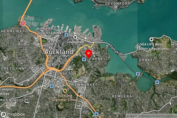 Parnell,Auckland Satellite Map