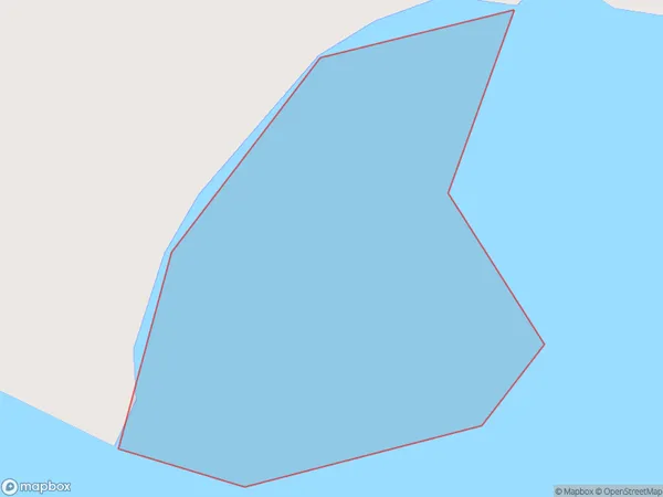 Chasm Island, Otago Polygon Area Map