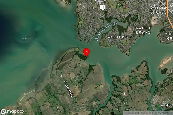 Shark Island,Auckland Satellite Map