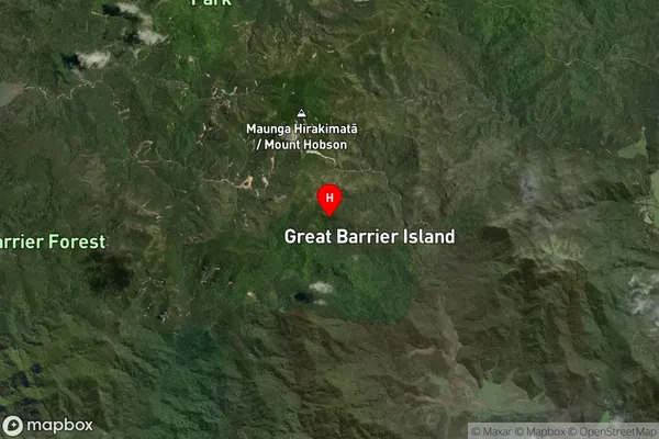 Great Barrier Island (Aotea Island),Auckland Satellite Map