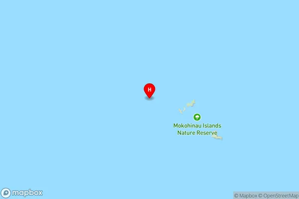 Groper Island / Tatapihi,Auckland Region Map