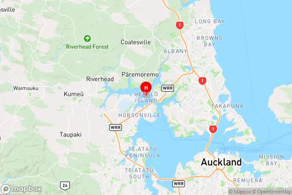 Herald Island,Auckland Region Map