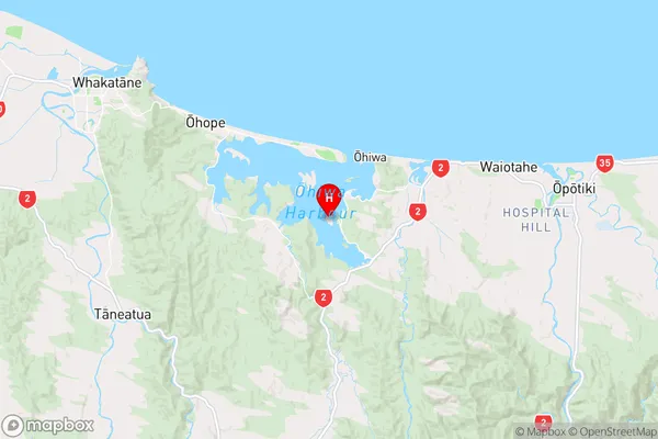 Hokianga Island,Bay of Plenty Region Map