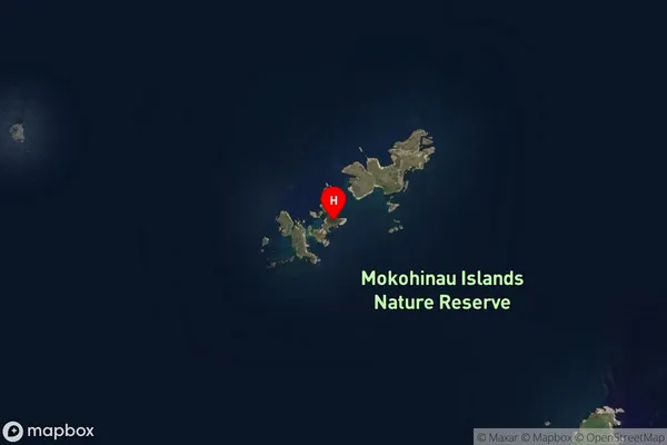 Hokoromea Island,Auckland Satellite Map