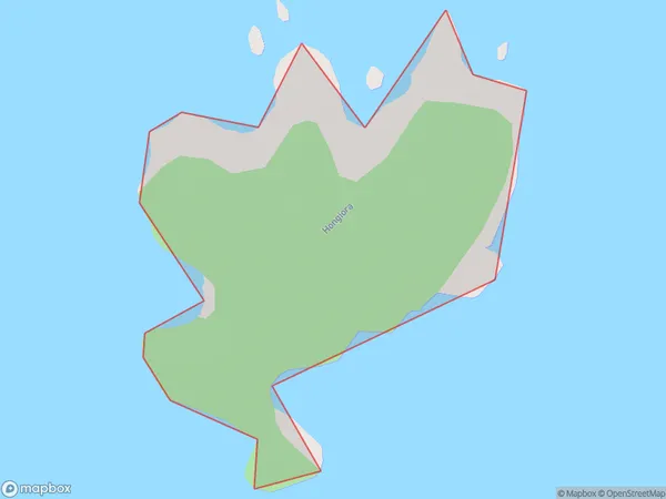 Hongiora, Otago Polygon Area Map