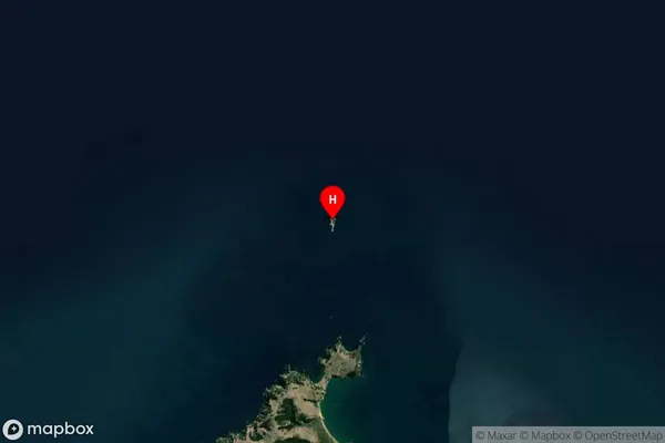Horuhoru Rock (Gannet Rock),Auckland Satellite Map