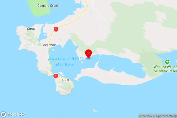 Joeys Island,Southland Region Map