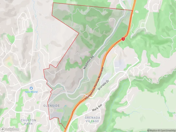 Glenside, Wellington Polygon Area Map