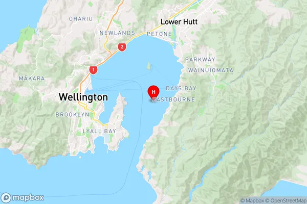 Makaro / Ward Island,Wellington Region Map