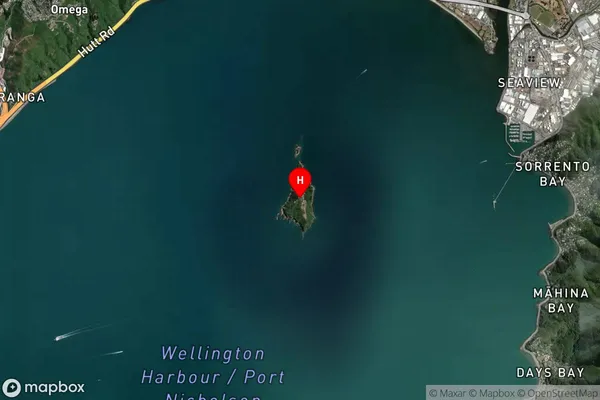 Matiu / Somes Island,Wellington Satellite Map
