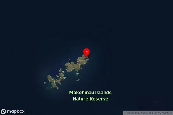 Motuharakeke Island,Auckland Satellite Map