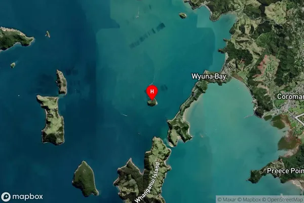 Motukakarikitahi Island (Rat Island),Waikato Satellite Map