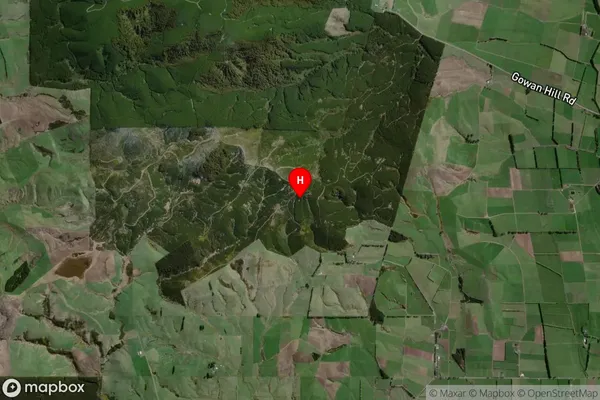 Gowan Hill,Southland Satellite Map