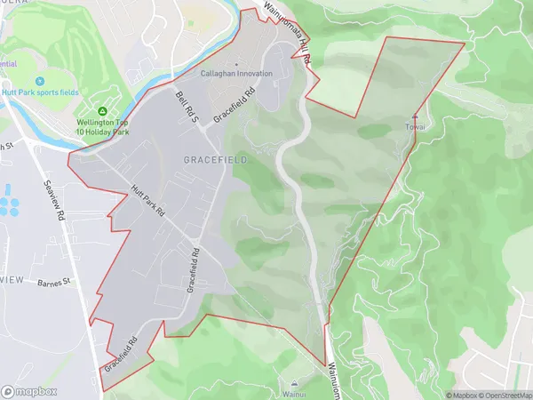 ZipCode 5043 Map for Gracefield