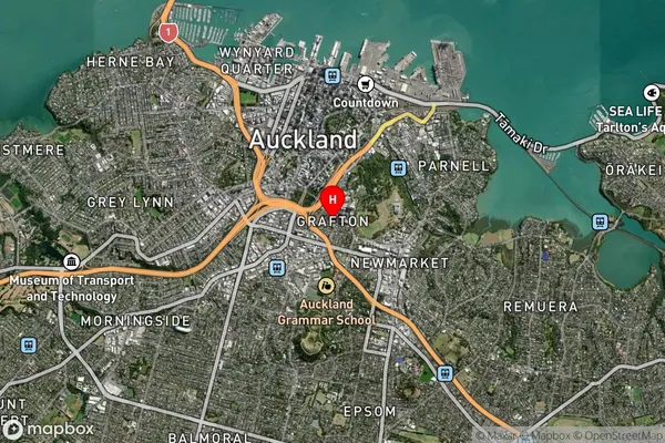 Grafton,Auckland Satellite Map