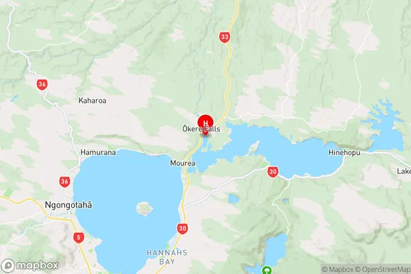 Motuohiwa Island,Bay of Plenty Region Map