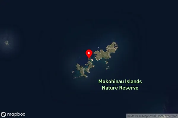 Motupapa Island,Auckland Satellite Map