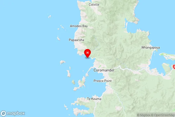 Motupohukuo Island (Turkey Island),Waikato Region Map