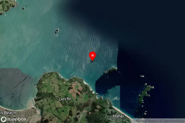 Moturoa Island (Tower Rock),Waikato Satellite Map