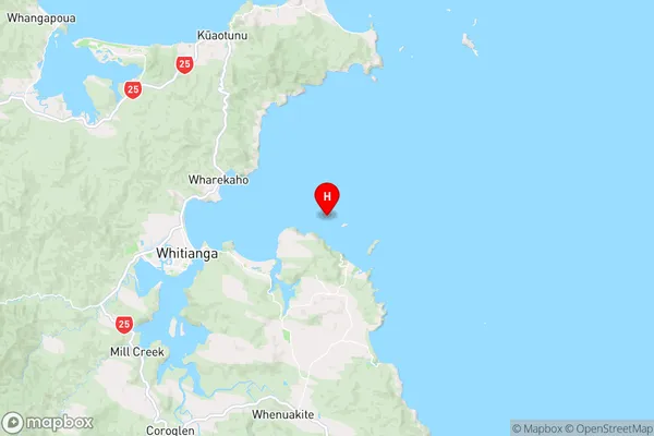 Moturoa Island (Tower Rock),Waikato Region Map