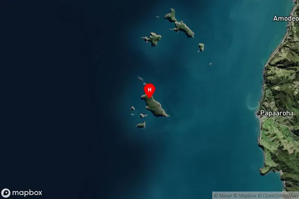 Moturua Island (Rabbit Island),Waikato Satellite Map