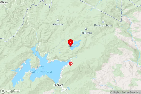 Motutorutoru Island,Hawke's Bay Region Map