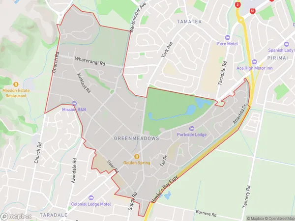 Greenmeadows, Hawke's Bay Polygon Area Map