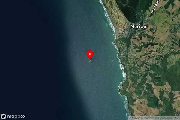 Oaia Island,Auckland Satellite Map