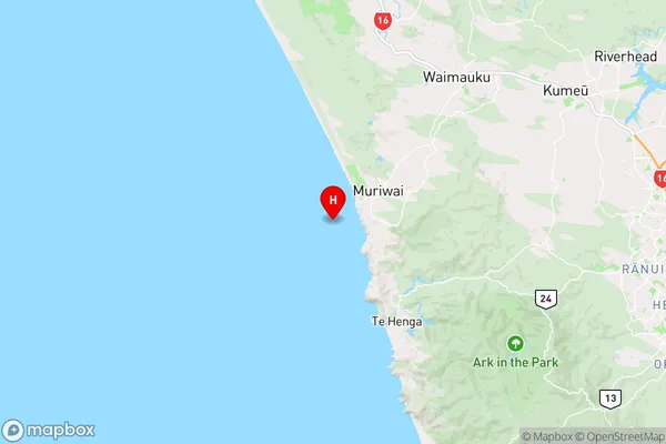 Oaia Island,Auckland Region Map