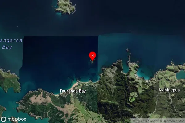 Oruatemanu Island,Northland Satellite Map