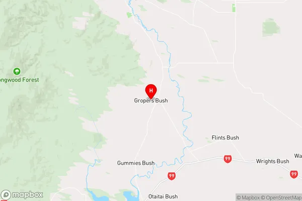 Gropers Bush,Southland Region Map