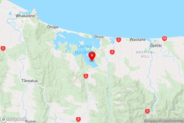Pataua Island,Bay of Plenty Region Map