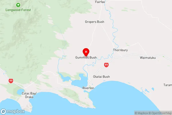 Gummies Bush,Southland Region Map