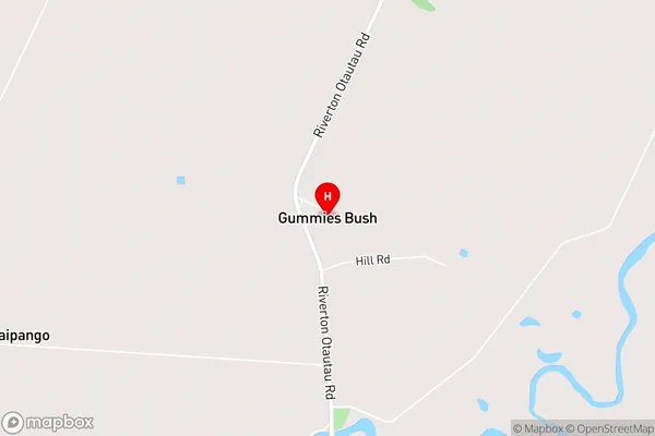 Gummies Bush,Southland Area Map