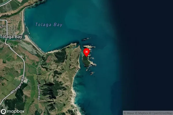 Pourewa Island,Gisborne Satellite Map