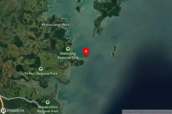 Pudding Island,Auckland Satellite Map