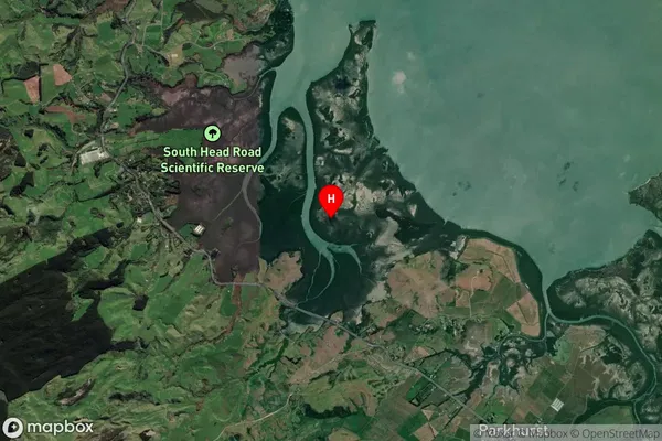 Puharakeke Island,Auckland Satellite Map