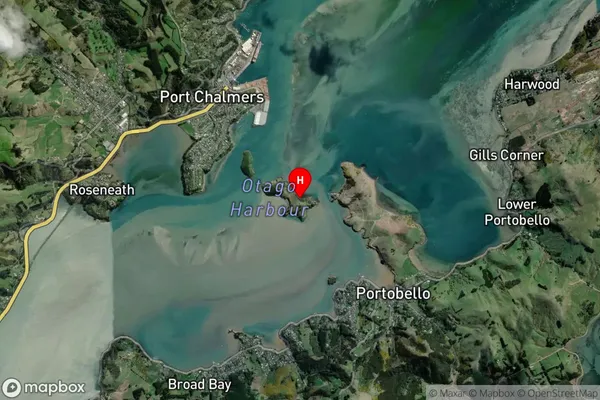 Quarantine Island/Kamau Taurua,Otago Satellite Map