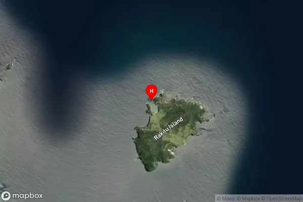 Rakitu Island (Arid Island),Auckland Satellite Map